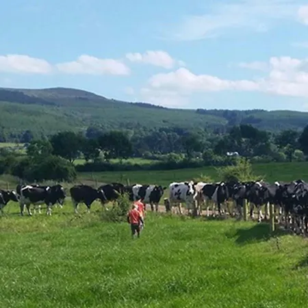 The Dairy * Kilmallock