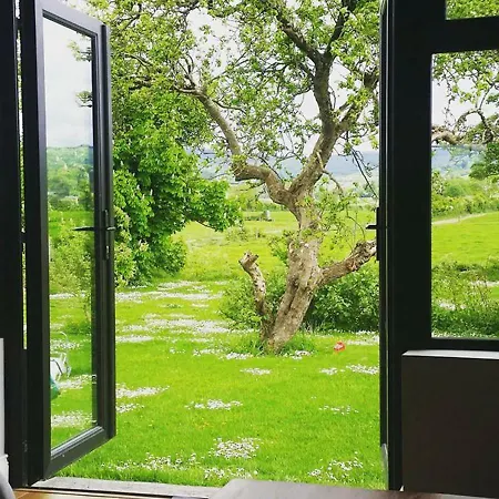 The Dairy Kilmallock