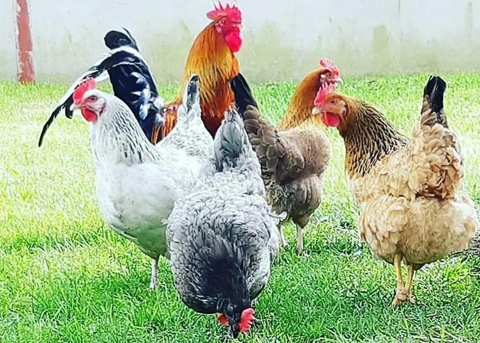 Casa vacanze The Dairy *